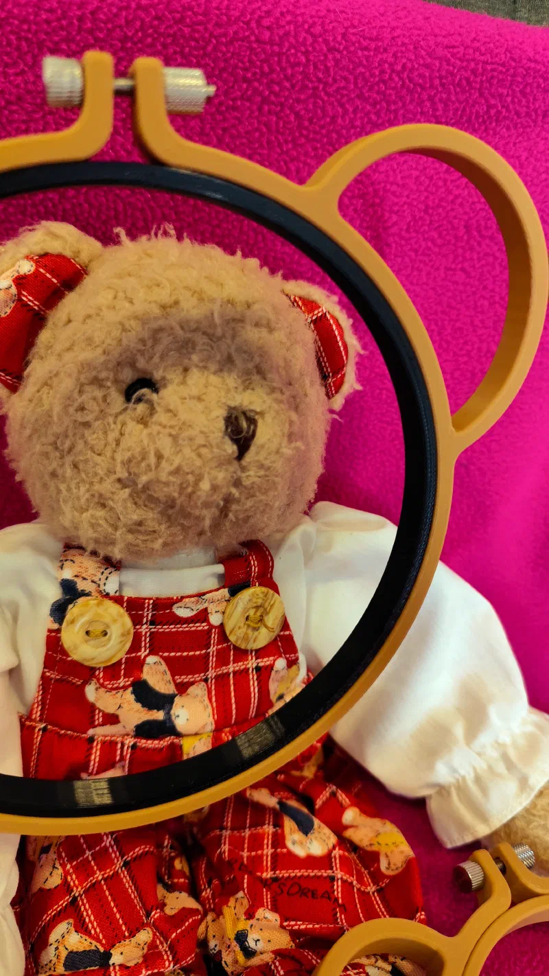 Custom 3D printed bear style hoop in-front cute teddy bear close-up.