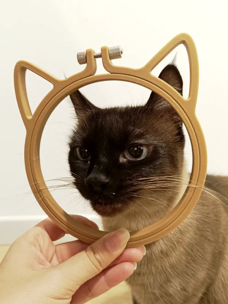 Cat framed with a 3D printed cat style hoop.